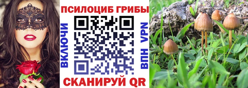 Псилоцибиновые грибы Psilocybe купить цена МЕГА ONION Красный Кут